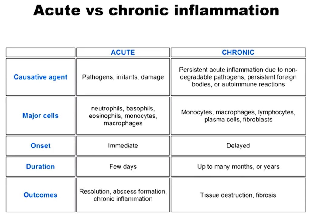 Acute and Chronic Inflammation